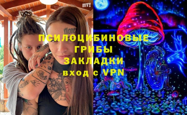 spice Беломорск