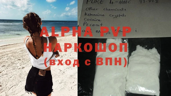 spice Беломорск