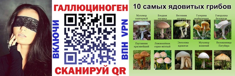 где можно купить наркотик  Пестово  Псилоцибиновые грибы ЛСД 